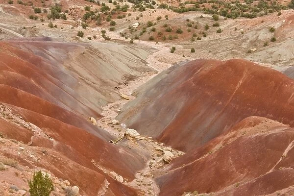 View of colourful badlands habitat, Burr Road, Grand Staircase-Escalante National Monument, Utah, U. S. A. October