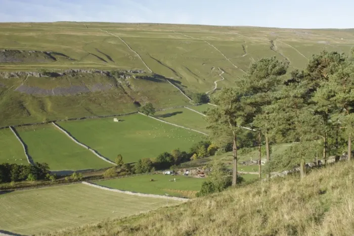 Framed Print : View of conifer trees, farm and drystone walls on hillside, Kettlewell, Wharfedale, Yorkshire Dales N. P Framed Print : View of conifer trees, farm and drystone walls on hillside, Kettlewell, Wharfedale, Yorkshire Dales N. P