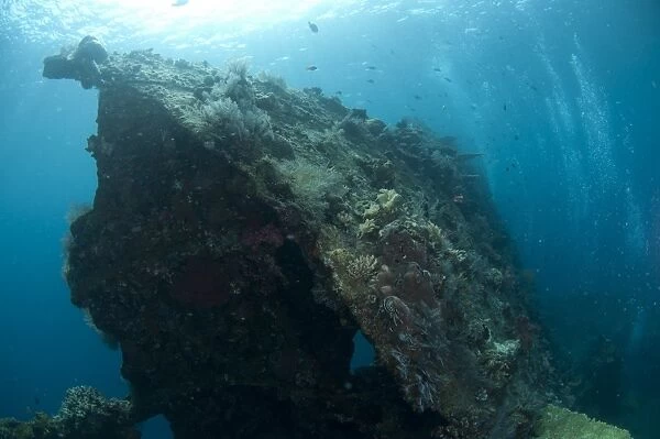 View of coral encrusted shipwreck, Liberty Wreck, Tulamben, Bali, Lesser Sunda Islands, Indonesia