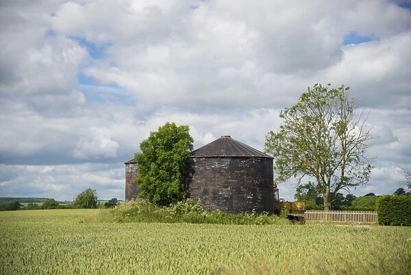 View of corrugated iron grain bins and Wheat (Triticum aestivum) field, near Alford, Lincolnshire, England, June
