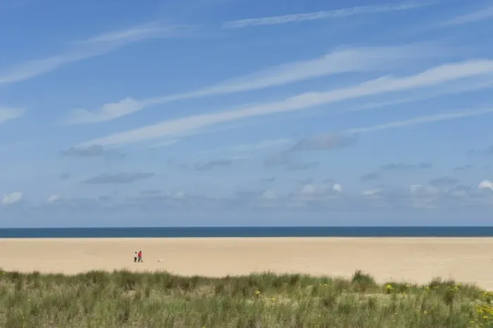 Framed Print : View of couple walking dogs on sandy beach, Holkham Beach, Holkham, Norfolk, England, july Framed Print : View of couple walking dogs on sandy beach, Holkham Beach, Holkham, Norfolk, England, july