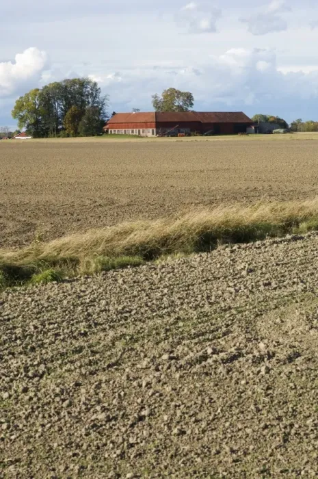 Framed Print : View of cultivated arable fields and farm buildings, Sweden, autumn