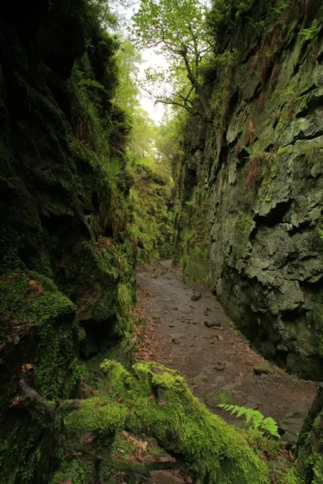 Framed Print : View of deep chasm created by massive landslip on hillside, Luds Church, Black Forest, White Peak, Peak District Framed Print : View of deep chasm created by massive landslip on hillside, Luds Church, Black Forest, White Peak, Peak District