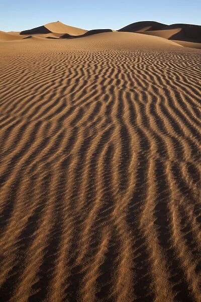 View of desert sand dunes, Erg Chegaga, Sahara, Morocco, may
