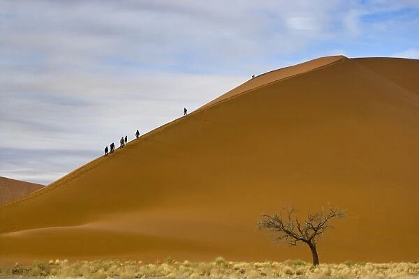 View of desert sand dunes with tourists at dawn, Sossusvlei, Namib-Naukluft N. P. Namib Desert, Namibia