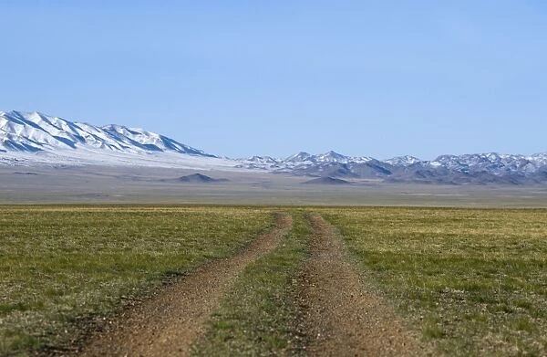 View of dirt road over steppe grassland habitat, Altai Mountains in distance, Gobi N. P. Gobi Desert, Mongolia, october