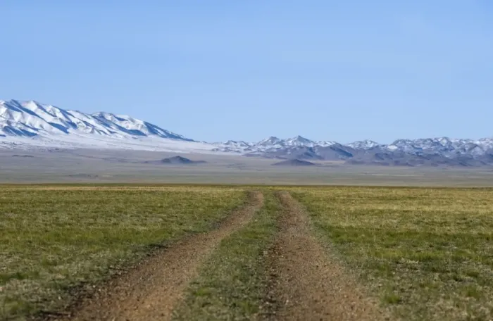 Framed Print : View of dirt road over steppe grassland habitat, Altai Mountains in distance, Gobi N. P. Gobi Desert, Mongolia, october