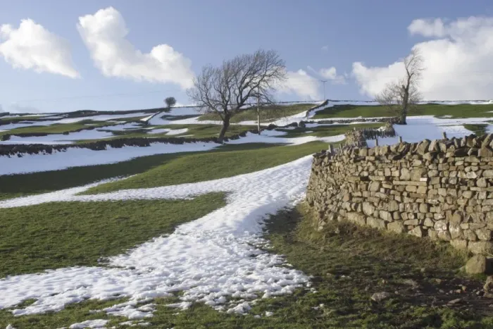 Framed Print : View of drystone walls and bare trees on hillside with melting snow, Reeth, Swaledale, Yorkshire Dales N. P