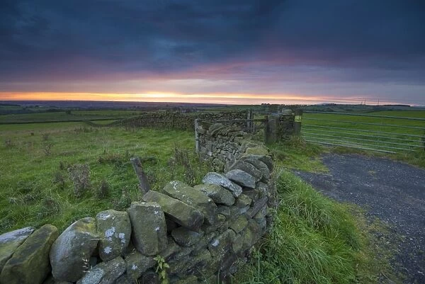View of drystone walls and gates in farmland on coastal plain at sunset, looking towards Morecambe Bay, The Fylde