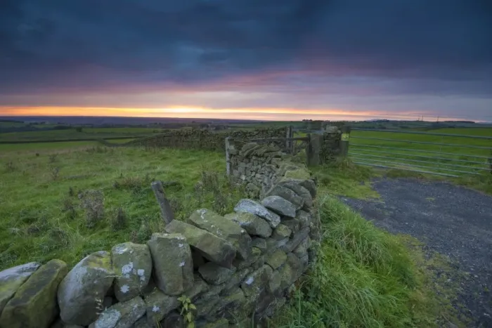 Framed Print : View of drystone walls and gates in farmland on coastal plain at sunset, looking towards Morecambe Bay, The Fylde Framed Print : View of drystone walls and gates in farmland on coastal plain at sunset, looking towards Morecambe Bay, The Fylde
