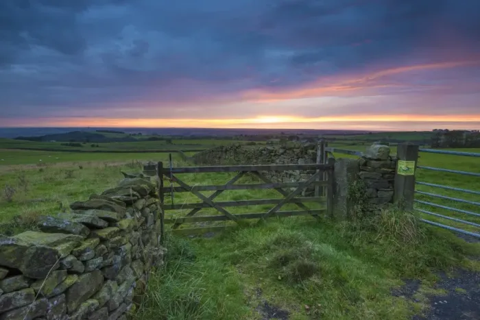Framed Print : View of drystone walls and gates in farmland on coastal plain at sunset, looking towards Morecambe Bay, The Fylde Framed Print : View of drystone walls and gates in farmland on coastal plain at sunset, looking towards Morecambe Bay, The Fylde