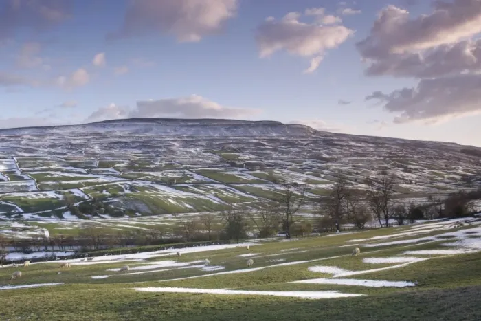 Framed Print : View of drystone walls on hillside, grazing sheep, trees and River Swale in vallley bottom after snowfall Framed Print : View of drystone walls on hillside, grazing sheep, trees and River Swale in vallley bottom after snowfall