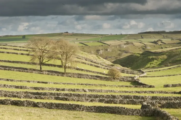 Framed Print : View of drystone walls and pasture, Dark Peak, Peak District N. P. Derbyshire, England, November