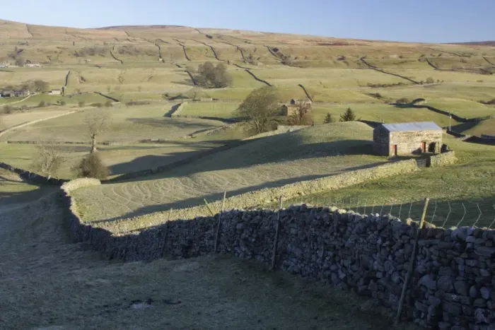 Framed Print : View of drystone walls, pasture, stone barns and bare trees, Burtersett, Wensleydale, Yorkshire Dales N. P Framed Print : View of drystone walls, pasture, stone barns and bare trees, Burtersett, Wensleydale, Yorkshire Dales N. P