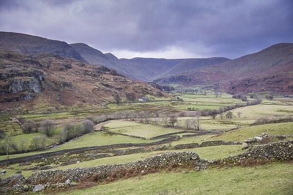 View of drystone walls and pasture in valley surrounded by fells, Kentmere, Lake District N. P