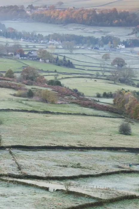 Framed Print : View of drystone walls and pastures with frost, Curbar, Dark Peak, Peak District N. P. Derbyshire, England, November Framed Print : View of drystone walls and pastures with frost, Curbar, Dark Peak, Peak District N. P. Derbyshire, England, November