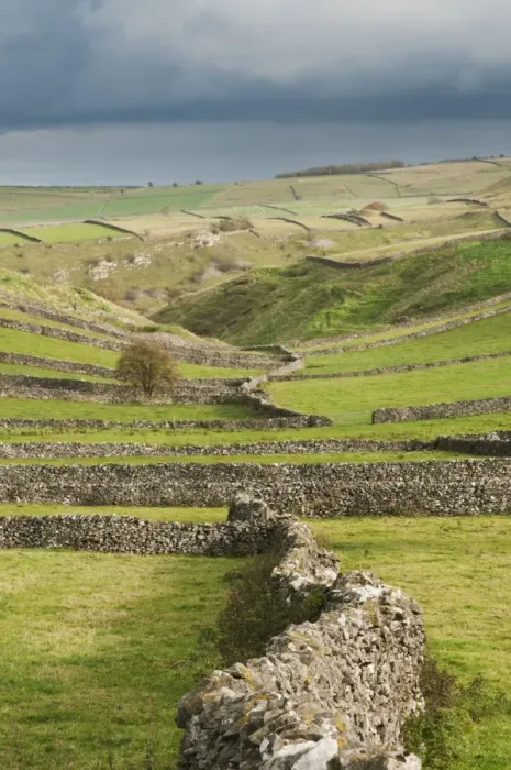 Framed Print : View of drystone walls and pastures, Litton, Peak District N. P. Derbyshire, England, October Framed Print : View of drystone walls and pastures, Litton, Peak District N. P. Derbyshire, England, October