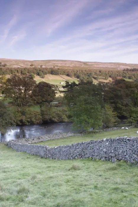 Framed Print : View of drystone walls, river and trees in evening light, River Wharfe, Kettlewell, Wharfedale, Yorkshire Dales N. P Framed Print : View of drystone walls, river and trees in evening light, River Wharfe, Kettlewell, Wharfedale, Yorkshire Dales N. P