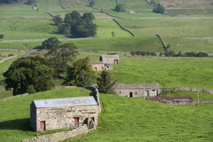 Framed Print : View of drystone walls and stone barns in farmland, Hawes, Wensleydale, Yorkshire Dales N. P