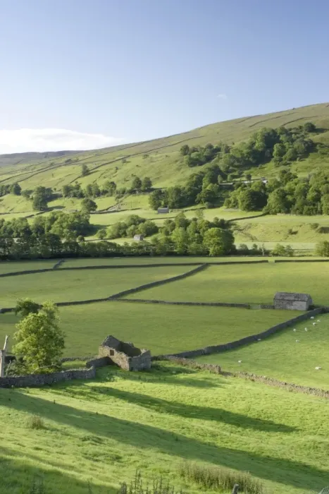 Framed Print : View of drystone walls, stone barns and sheep grazing in pasture of river valley, Gunnerside, Swaledale Framed Print : View of drystone walls, stone barns and sheep grazing in pasture of river valley, Gunnerside, Swaledale