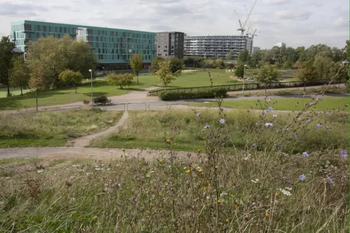 Framed Print : View of ecology park and buildings, The Ecology Park, Mile End Park, Tower Hamlets, London, England, september Framed Print : View of ecology park and buildings, The Ecology Park, Mile End Park, Tower Hamlets, London, England, september