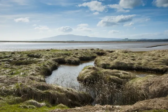 Framed Print : View of estuary habitat, Solway Firth, Caerlaverock National Nature Reserve, Ruthwell, Dumfries and Galloway, Scotland