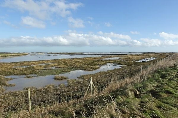 View over estuary marshland from coastal embankment, reclaimed saltmarsh in managed retreat scheme
