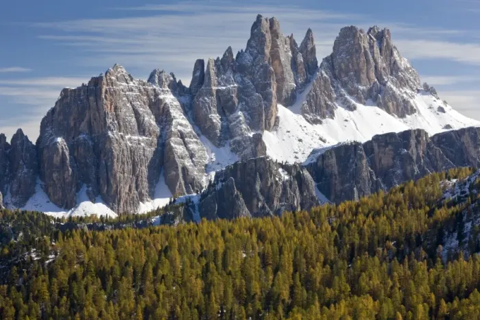 Framed Print : View across European Larch (Larix decidua) forest habitat towards jagged dolomite ridge after early snow Framed Print : View across European Larch (Larix decidua) forest habitat towards jagged dolomite ridge after early snow