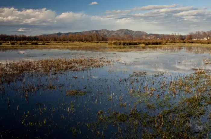 Framed Print : View of extensive marshland (marismas) habitat, Aiguamolls del Emporda Natural Park, Catalonia, Spain, March