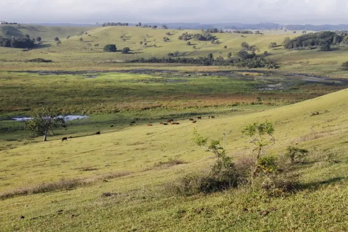 Framed Print : View of extinct volcanic crater with cattle and wetland habitat, important roosting area for waterfowl and cranes Framed Print : View of extinct volcanic crater with cattle and wetland habitat, important roosting area for waterfowl and cranes