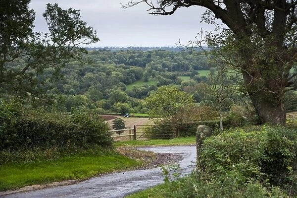 View of farm track, tractor ploughing in field and woodland on slope in distance, Shepton Mallet, Somerset, England