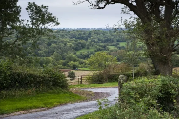 Framed Print : View of farm track, tractor ploughing in field and woodland on slope in distance, Shepton Mallet, Somerset, England Framed Print : View of farm track, tractor ploughing in field and woodland on slope in distance, Shepton Mallet, Somerset, England