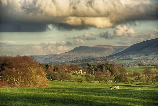 View across farmland towards distant fells, looking towards Pendle Hill, Clitheroe, Forest of Bowland, Lancashire