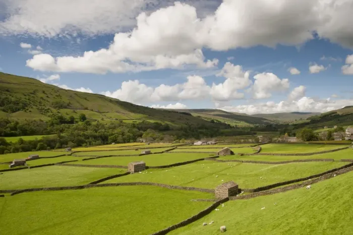 Framed Print : View of farmland with drystone walls, stone barns and sheep grazing in pasture, Gunnerside, Swaledale Framed Print : View of farmland with drystone walls, stone barns and sheep grazing in pasture, Gunnerside, Swaledale