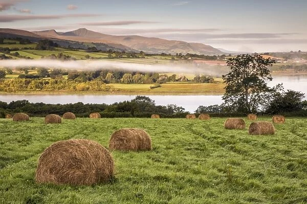 View of farmland with hay bales in meadow at sunrise, Llangorse Lake, Brecon Beacons N. P. Powys, Wales, September