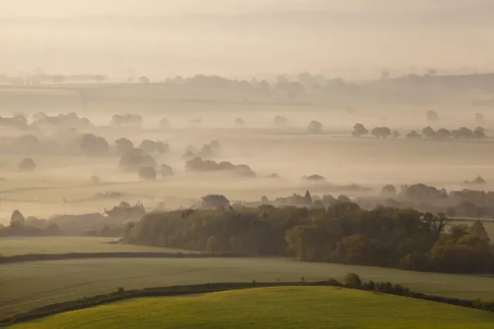 Framed Print : View of farmland with hedgerows and fields in mist at sunrise, Raddon Hill Farm, Raddon Hills, Devon, England, May Framed Print : View of farmland with hedgerows and fields in mist at sunrise, Raddon Hill Farm, Raddon Hills, Devon, England, May