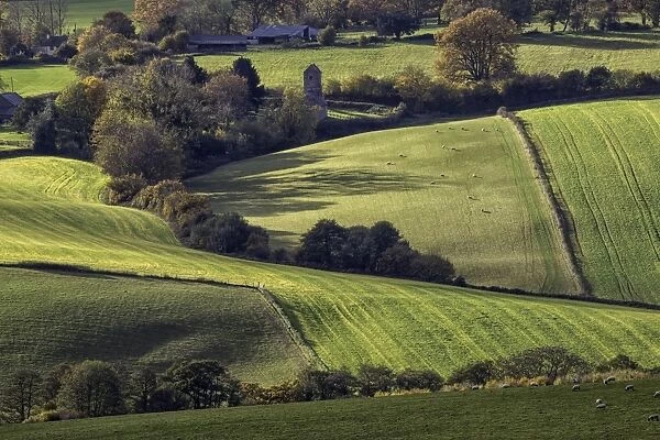 View of farmland with hedgerows, Wolvesnewton Church, Wolvesnewton, near Usk, Monmouthshire, South Wales, November