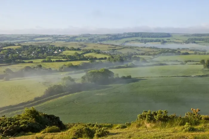 Framed Print : View of farmland with low lying mist over mixed pasture and arable fields, Corfe, Dorset, England, May Framed Print : View of farmland with low lying mist over mixed pasture and arable fields, Corfe, Dorset, England, May