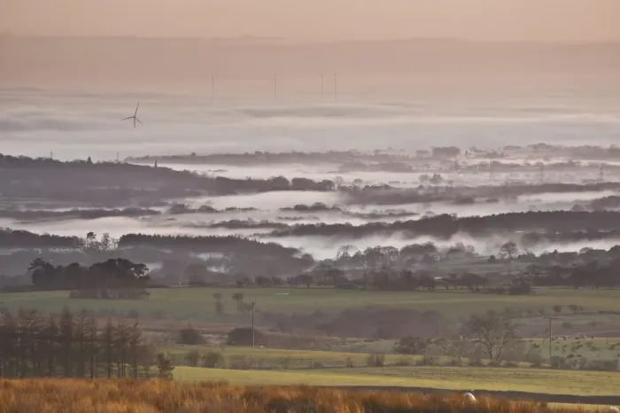 Framed Print : View of farmland in mist at sunset, Fylde, Lancashire, England, february Framed Print : View of farmland in mist at sunset, Fylde, Lancashire, England, february
