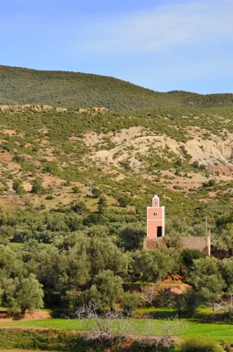 Framed Print : View of farmland, mosque minaret and hills, Ait-Ourir, Al Haouz Province, Morocco, january Framed Print : View of farmland, mosque minaret and hills, Ait-Ourir, Al Haouz Province, Morocco, january