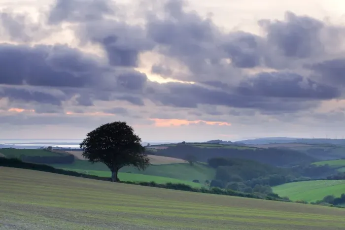 Framed Print : View of farmland near coast at sunset, from Yard Cross near Barnstaple towards Baggy Point, North Devon, England Framed Print : View of farmland near coast at sunset, from Yard Cross near Barnstaple towards Baggy Point, North Devon, England
