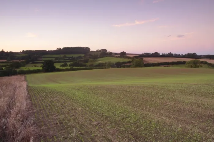 Framed Print : View of farmland with newly emerged arable crop and hedgerows at twilight, West Yorkshire, England, September Framed Print : View of farmland with newly emerged arable crop and hedgerows at twilight, West Yorkshire, England, September