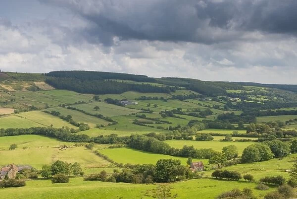 View of farmland with pastures and hedgerows, Farndale Valley, North York Moors N. P. North Yorkshire, England, August