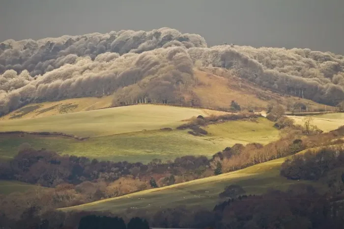 Framed Print : View of farmland with rime frost on trees of hilltop forest, Dorset, England, december