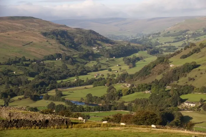 Framed Print : View of farmland in river valley, with sheep, stone barns and drystone walls, River Swale, Swaledale Framed Print : View of farmland in river valley, with sheep, stone barns and drystone walls, River Swale, Swaledale