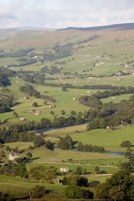 Framed Print : View of farmland in river valley, with stone barns and drystone walls, River Swale, Swaledale, Yorkshire Dales N. P Framed Print : View of farmland in river valley, with stone barns and drystone walls, River Swale, Swaledale, Yorkshire Dales N. P