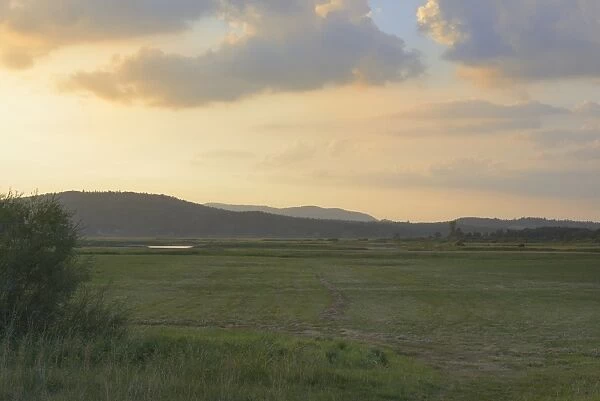 View of farmland on temporarily dry intermittent lake at sunset, Lake Cerknica, Cerknica Polje, Inner Carniola