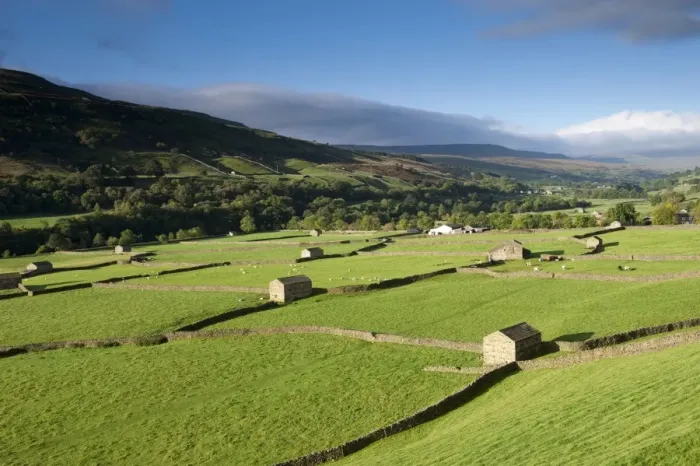 Framed Print : View of farmland in valley, with stone barns, drystone walls, cattle and sheep, Swaledale, Yorkshire Dales N. P