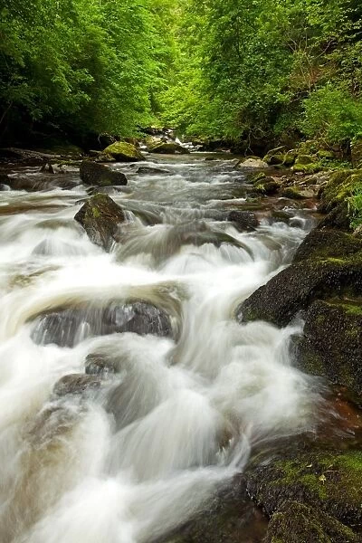 View of fast-flowing river, East Lyn River, East Lyn Valley, Lynmouth, North Devon, England, May