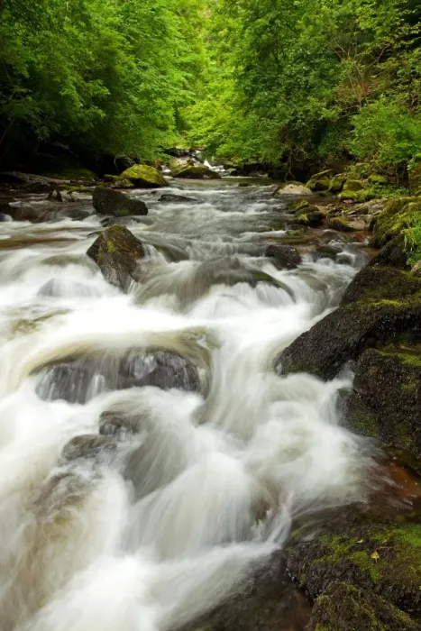 Framed Print : View of fast-flowing river, East Lyn River, East Lyn Valley, Lynmouth, North Devon, England, May